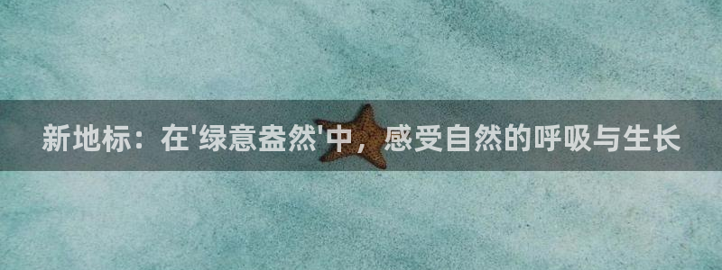 新宝gg盈亏