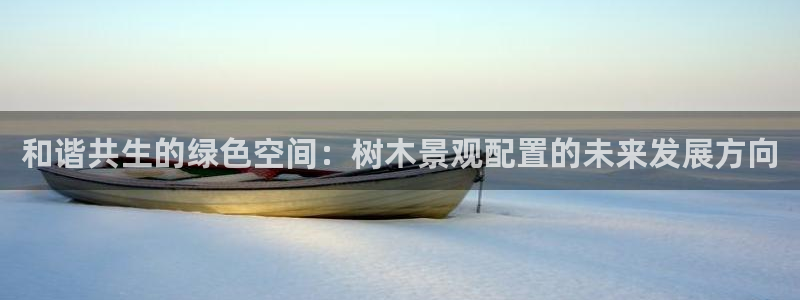 新宝一GG