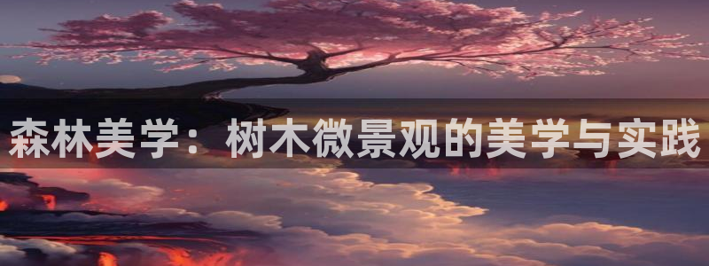 新宝gg博彩