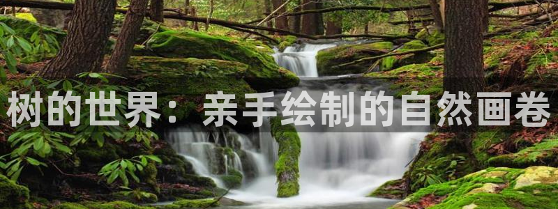 新宝gg1956登陆：树的世界：亲手绘制的自然画卷