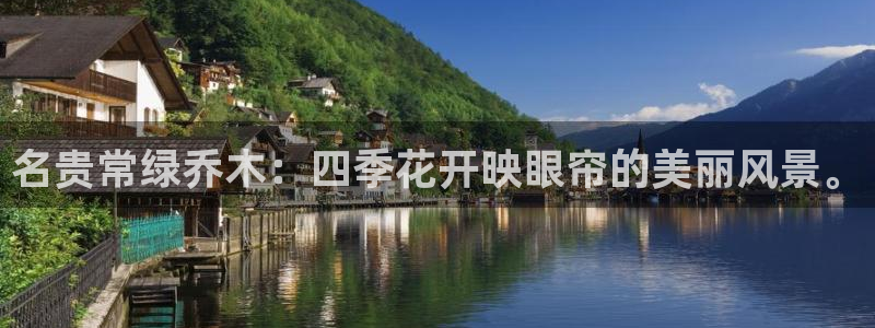 新宝gg 主管