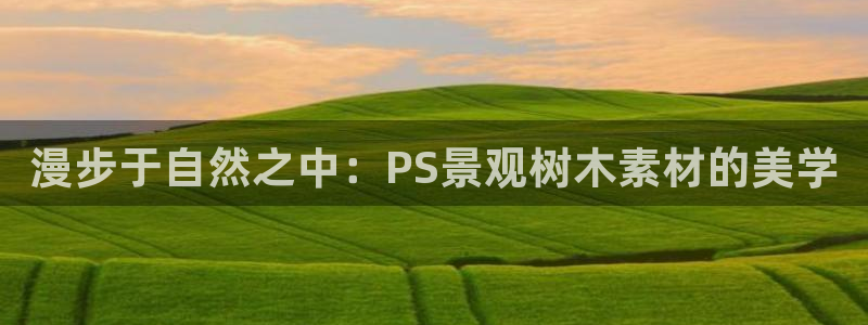 新宝gg评论