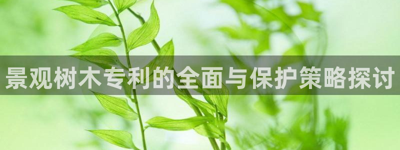 新宝GG登录网页：景观树木专利的全面与保护策略探讨