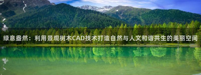 新宝gg创造奇迹 新宝gg