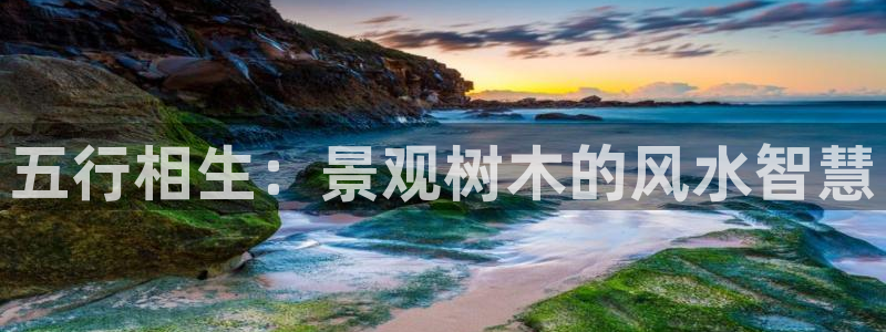 新宝gg怎么开户