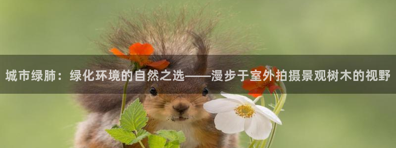 新宝gg娱乐主管q42873