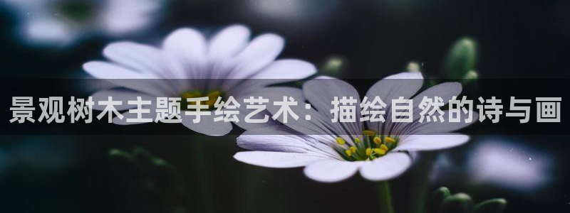 新宝gg dengludizhi