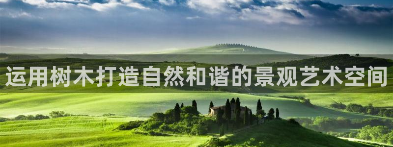 新宝gg如何代理