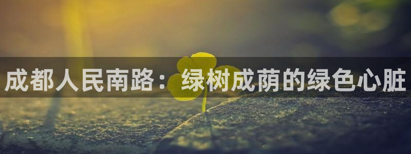 新宝GG创业奇迹