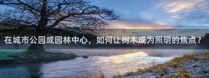 新宝gg挂机软件下载