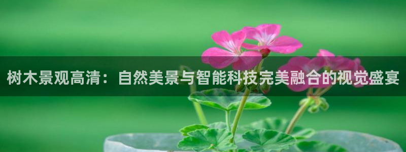 新宝Gg测速地址