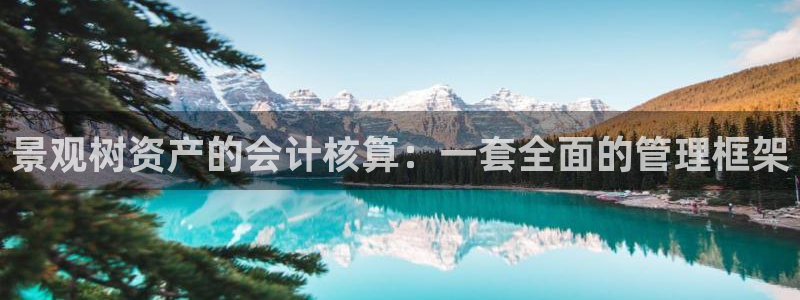 下载新宝gg怎么下载