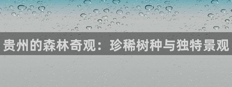 新浪新闻新宝gg