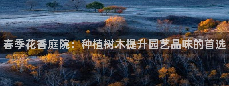 新宝gg娱乐主管q42873