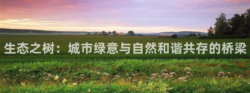 新宝gg创造奇迹 新宝gg