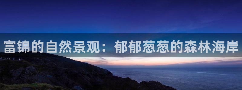 新宝gg平台怎么样