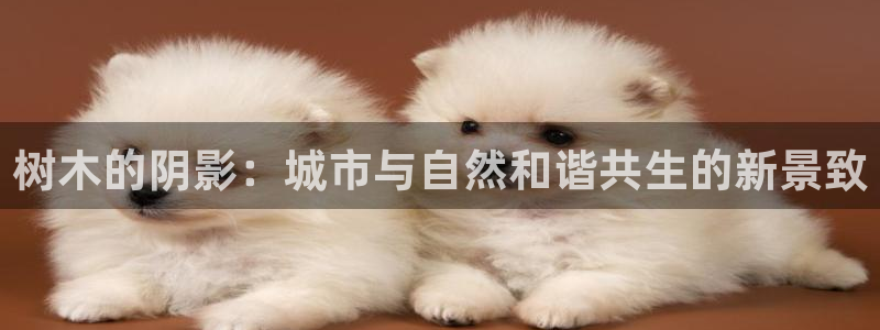 新宝gg平台q891465