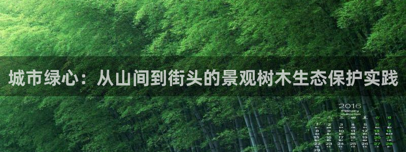 新宝GG专业团队