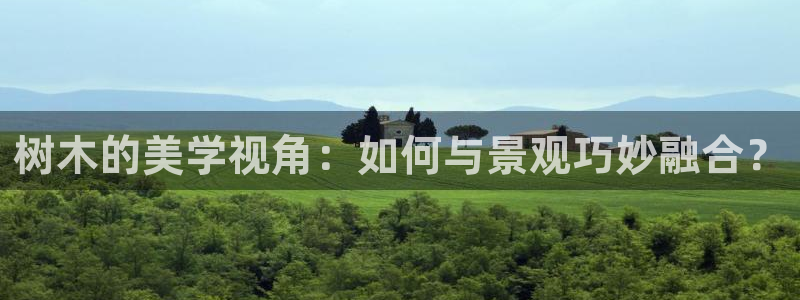 新宝gg主管花木兰