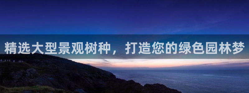 新宝gg创造奇迹下载