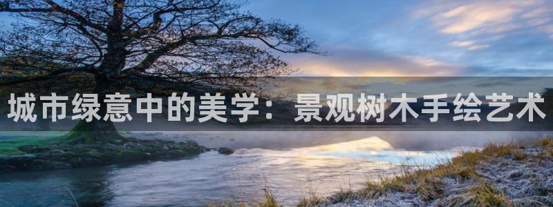 新宝GG创业奇迹