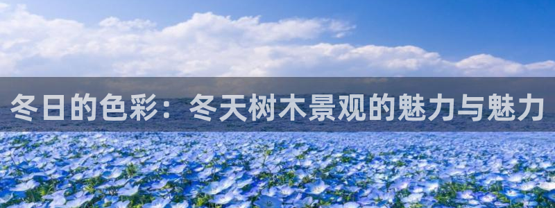 新宝GG手机客户端：冬日的色彩：冬天树木景观的魅力与魅力
