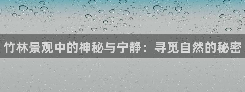 新宝时gg：竹林景观中的神秘与宁静：寻觅自然的秘密