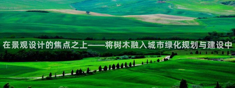 新宝gg入口网址：在景观设计的焦点之上——将树木融入城市绿化规划与建设中