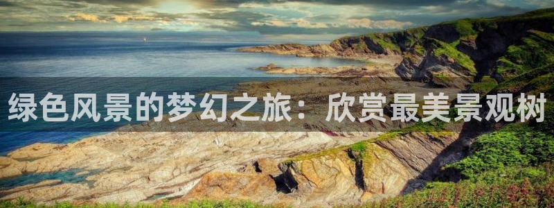 新宝gg玩法