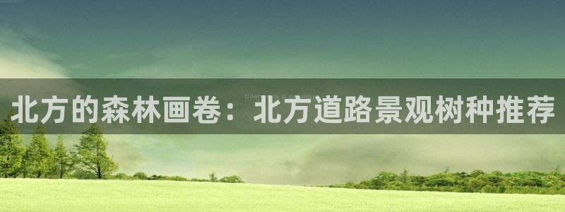 新宝gg游戏：北方的森林画卷：北方道路景观树种推荐