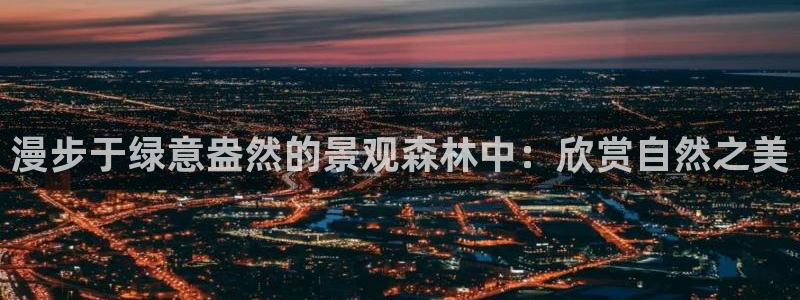 新宝gg一创造奇迹