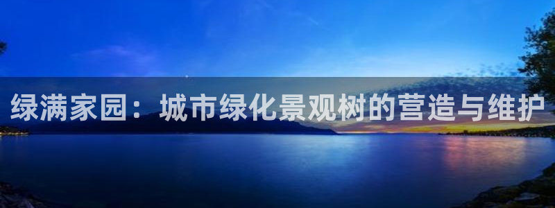 新宝GG最高返点多少