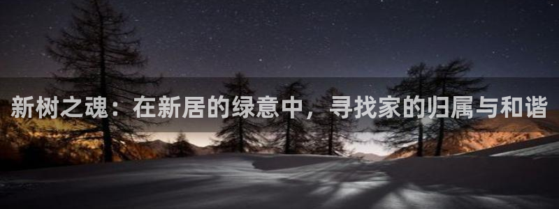 新宝六与新宝gg