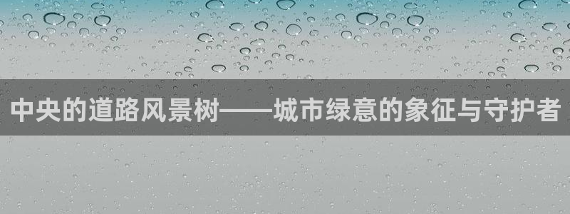 新宝gg首页平台