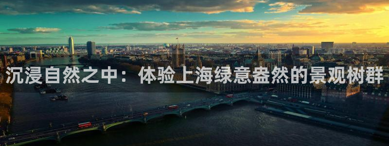 新宝gg注销