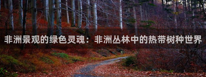 新宝gg 平台怎么样