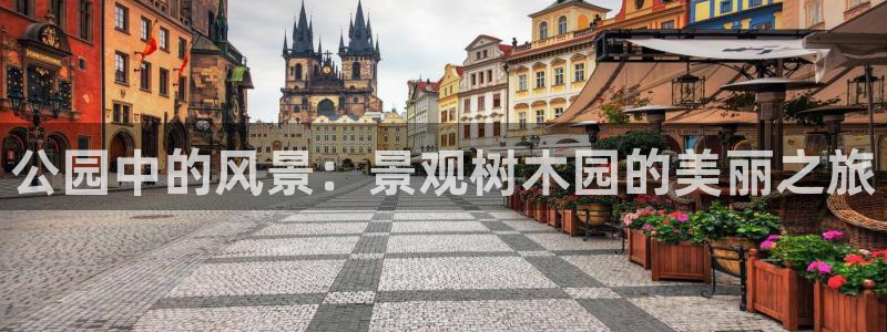 新宝GG登录网页：公园中的风景：景观树木园的美丽之旅