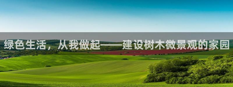 新宝gg待遇：绿色生活，从我做起——建设树木微景观的家园