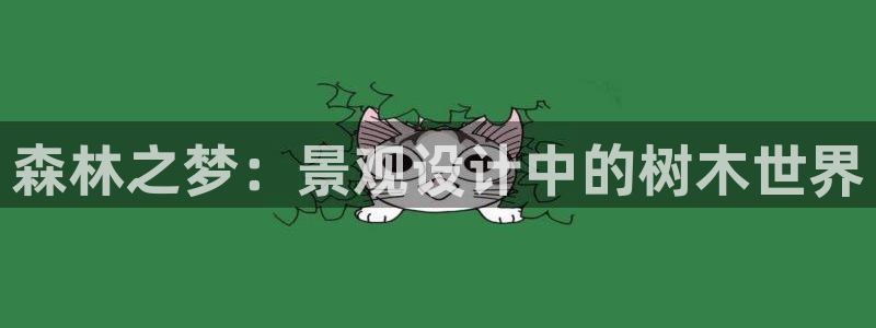 创造奇迹 新宝gg