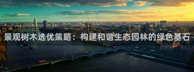 新宝GG—创造奇迹