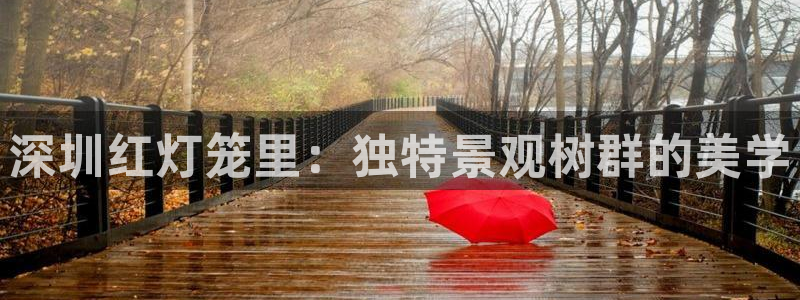 新宝GG都有哪些计划