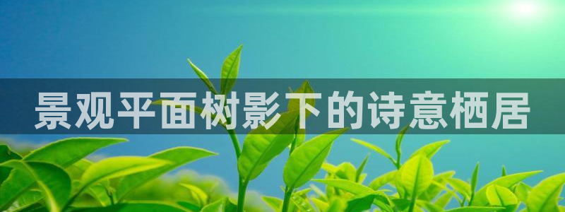 新宝gg   创造奇迹