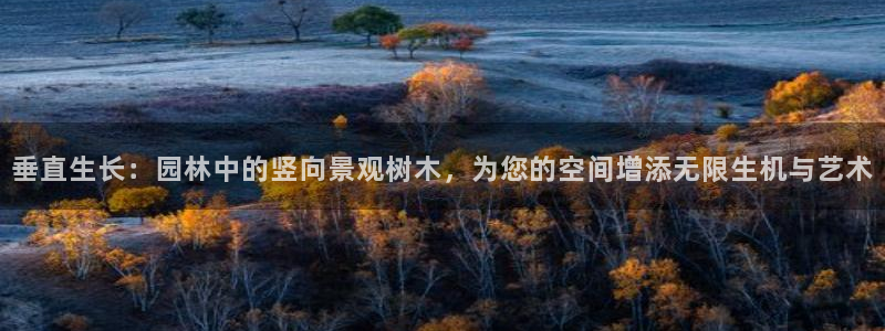 新宝gg娱乐官网