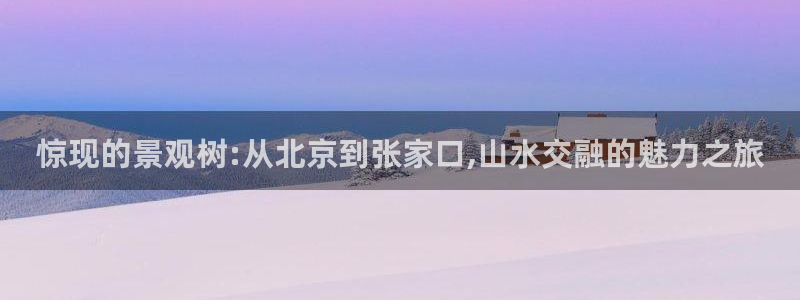 新宝新宝gg开户流程