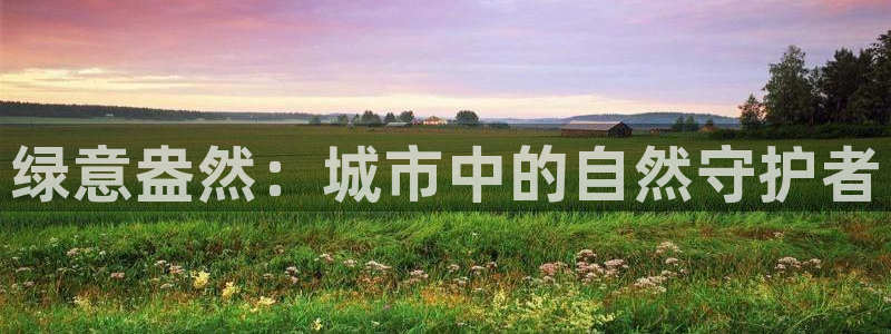 新宝gg手机