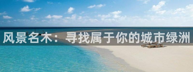 新宝gg维护
