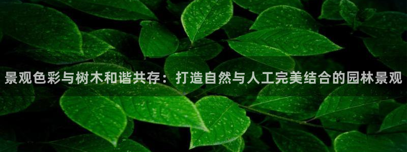新宝 gg创造
