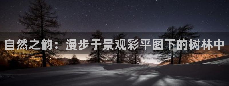 新宝gg.