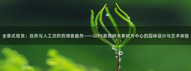 新宝gg娱乐怎么样