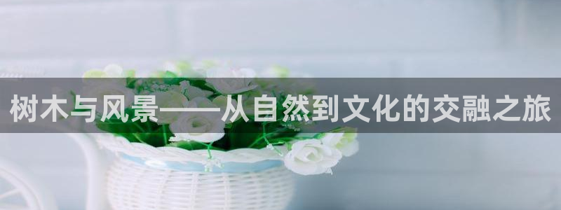 新宝GG53339咨询新宝GG：树木与风景——从自然到文化的交融之旅